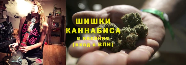 apvp Няндома