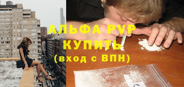 СК Шали