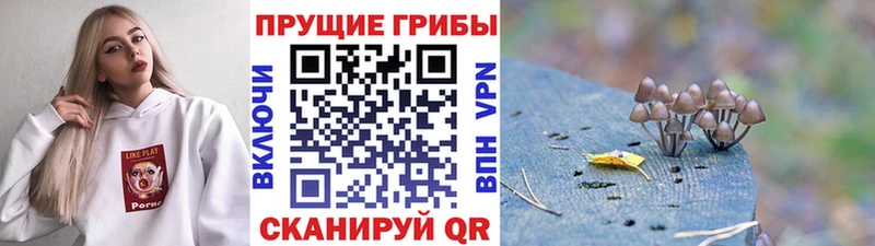 Псилоцибиновые грибы ЛСД  Сурск 